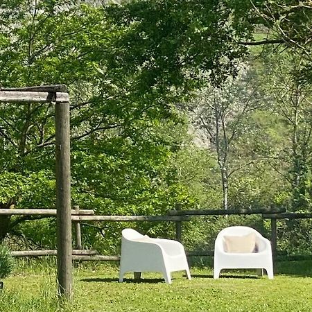 Cottage Sui Colli Bolognesi エクステリア 写真