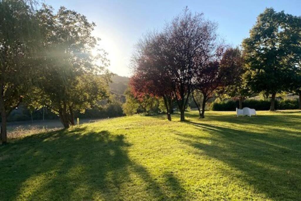 Cottage Sui Colli Bolognesi エクステリア 写真